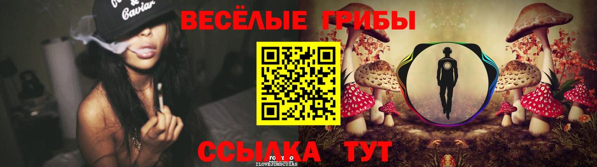Галлюциногенные грибы Magic Shrooms  Вход с VPN  Кулебаки 